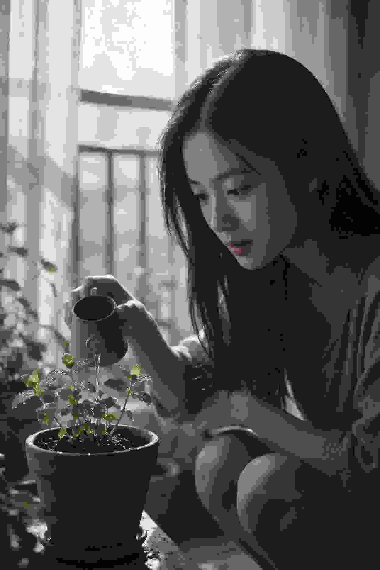 作品